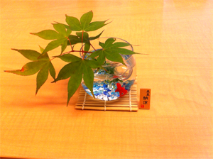 �������s�̐��̉@�������̏���